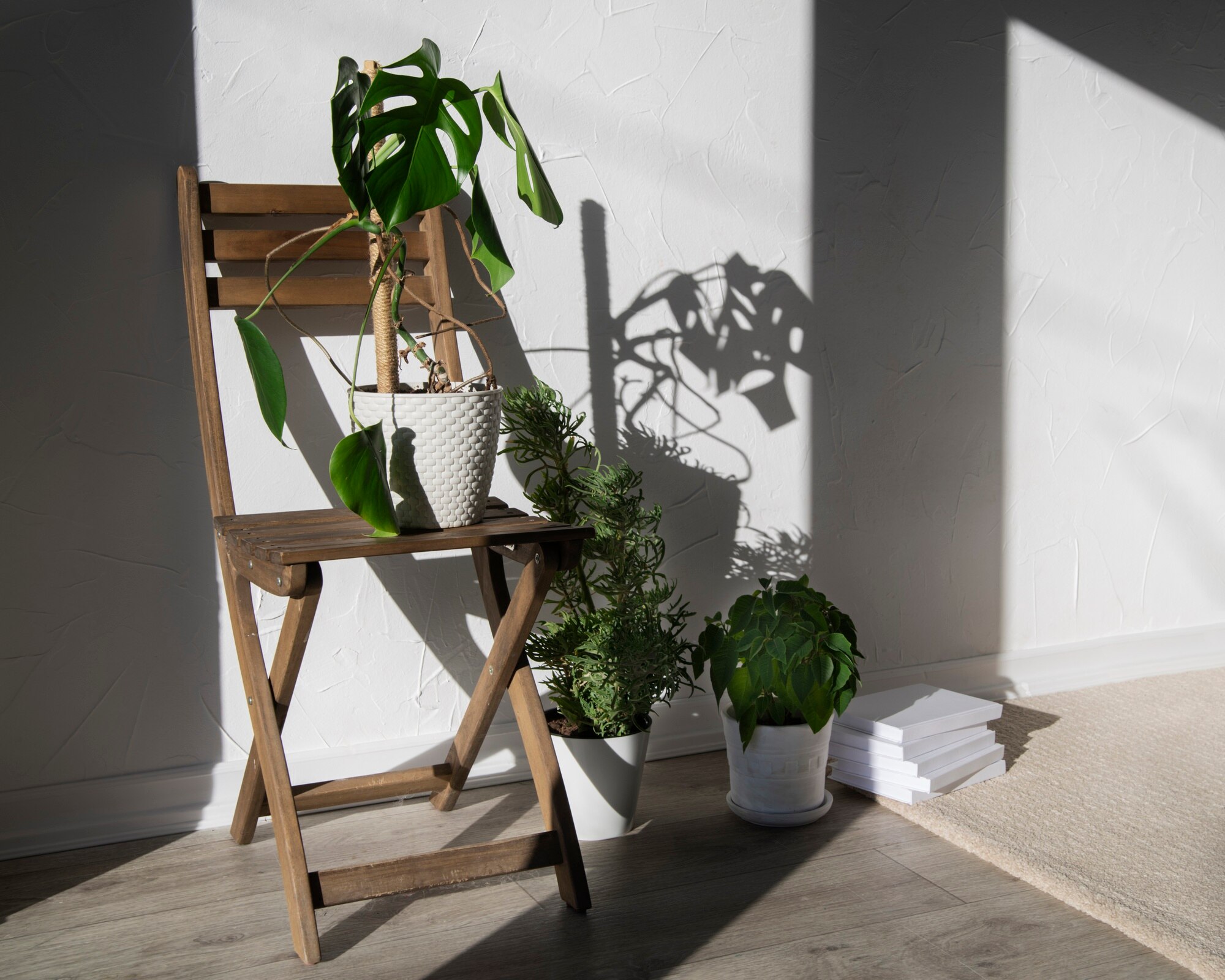 Studio organizzato con luce naturale